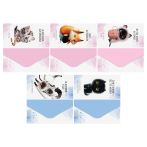 Конверт для денег MESHU "Милые котята" 85*164мм, матовая ламинация, 5 дизайнов