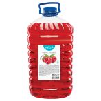 Мыло жидкое Vega "Малина", 5л, ПЭТ